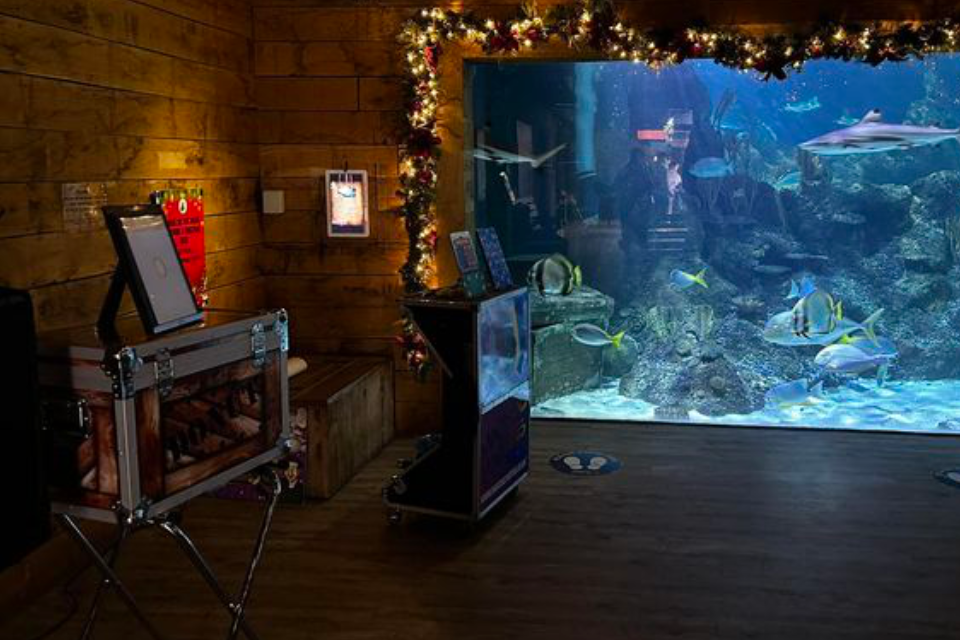 Magic and games package for family attractions
